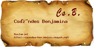 Csöndes Benjamina névjegykártya